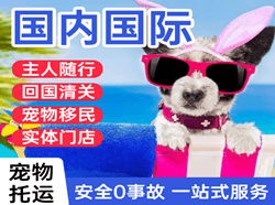 琼海航空物流国际宠物托运 【国